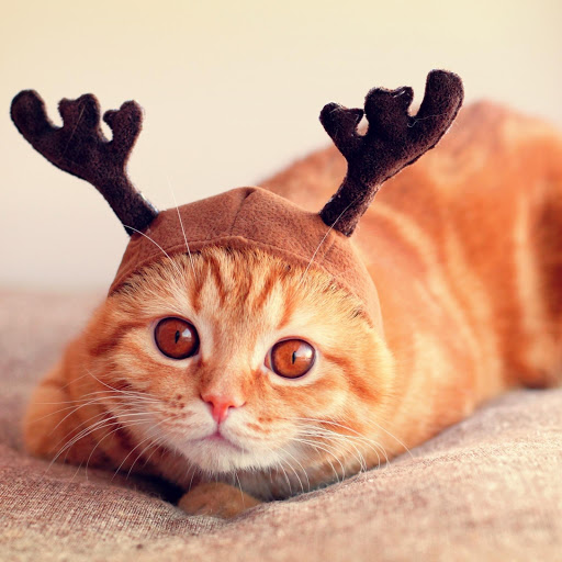 Hd-166386-ascw166386