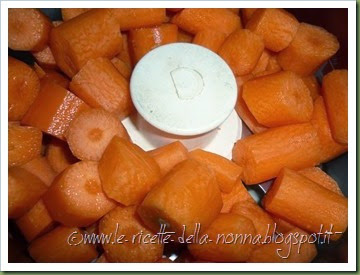 Dolcetti allo yogurt con carote, gocce di cioccolato e succo di mandarino (6)