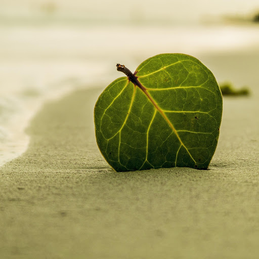 Hd-176652-ascw176652