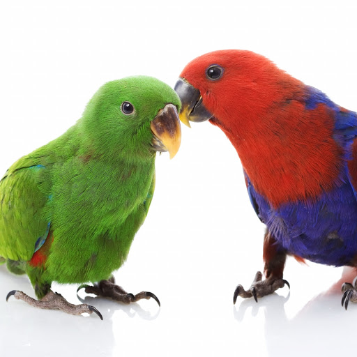 Hd-190481-ascw190481