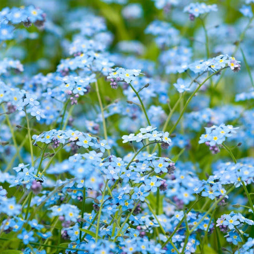 Hd-159244-ascw159244