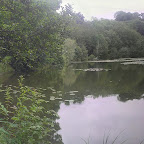 panorama de l'étang Bideau à Saint Anne sur Gervonde 2