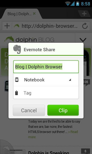 Evernote for Dolphin