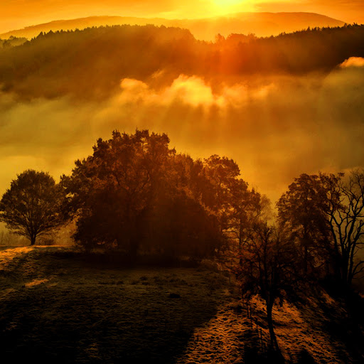 Hd-131087-ascw131087