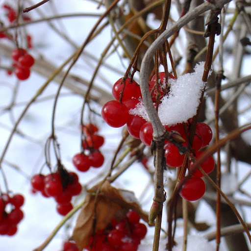 Hd-183367-ascw183367