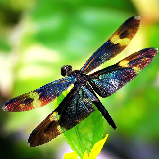 Hd-164398-ascw164398