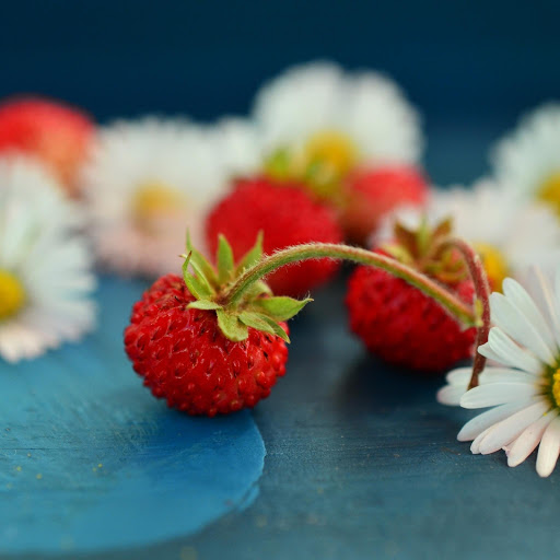 Hd-185092-ascw185092