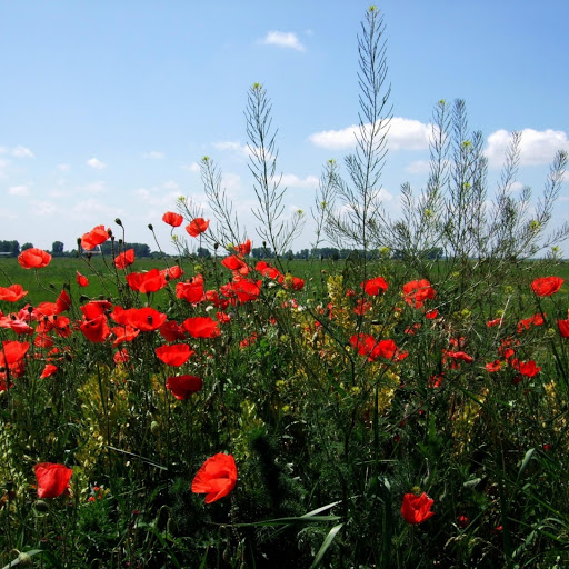 Hd-158978-ascw158978