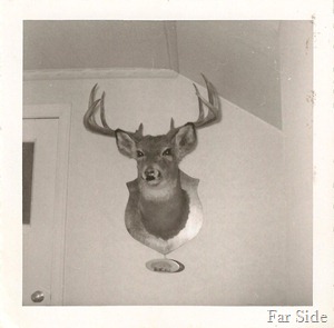 The Deer November 1955
