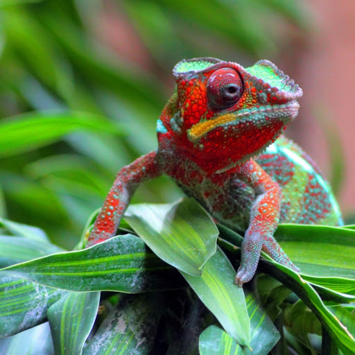 Hd-147801-ascw147801