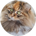 Image Google de Nicole Benayon