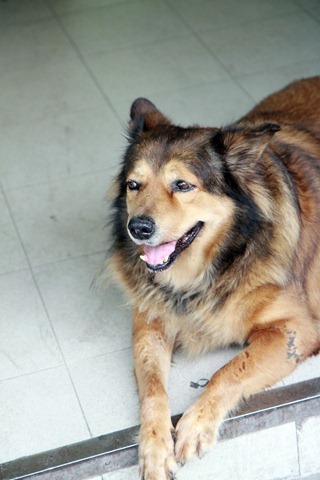 [IMG_0993%255B3%255D.jpg]