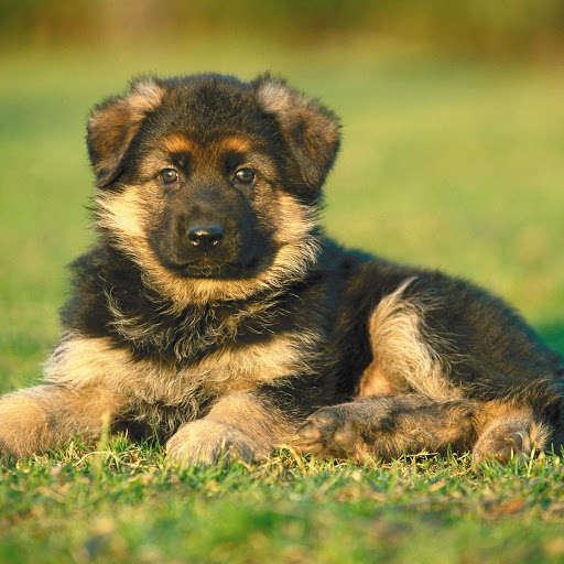 Hd-181078-ascw181078