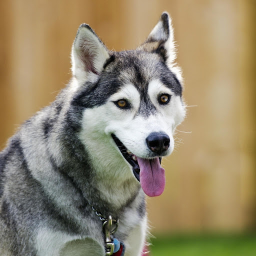 Hd-176148-ascw176148