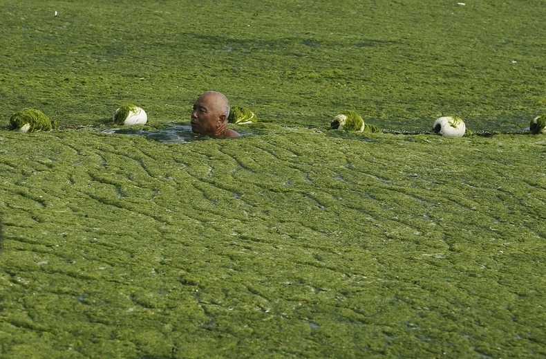 algae-china-beach-3