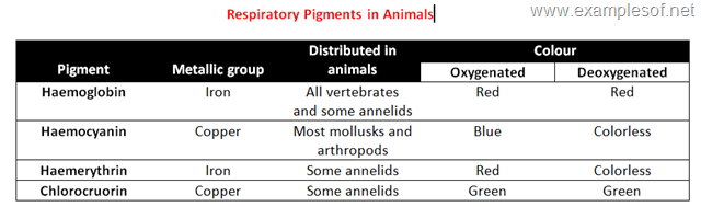 Respiratory pigments in animals