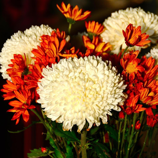 Hd-168329-ascw168329