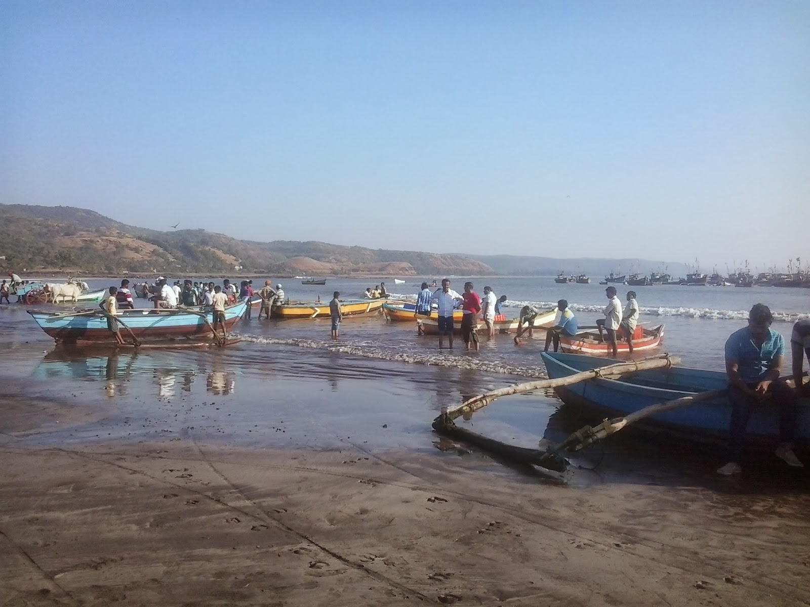 Shambhuraje General topics Fish Market at Harne