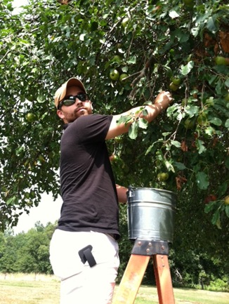 applepicking1