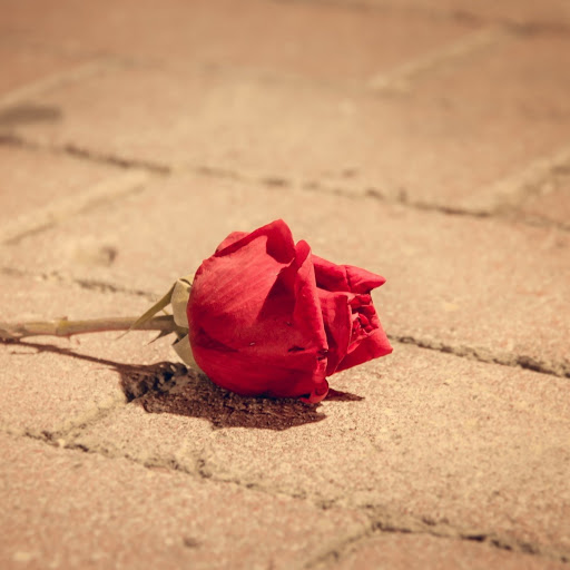 Hd-171774-ascw171774