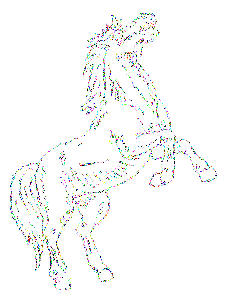 [caballos%2520%252820%2529%255B2%255D.gif]