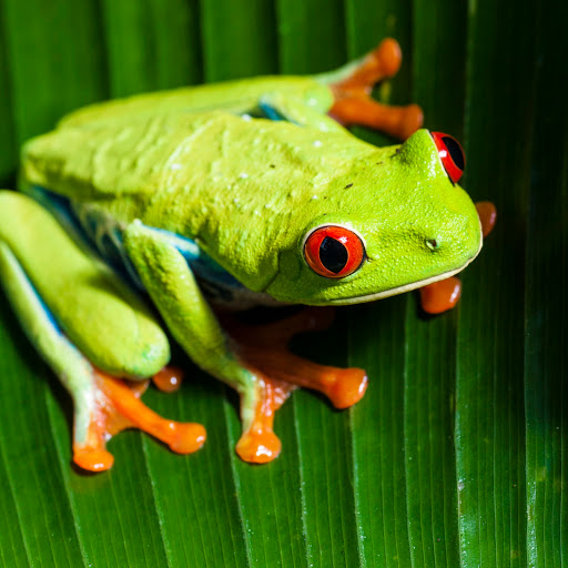 Hd-170908-ascw170908