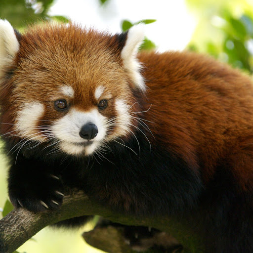 Hd-142444-ascw142444