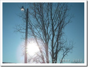 tn_2012-01-19 Winter (1)