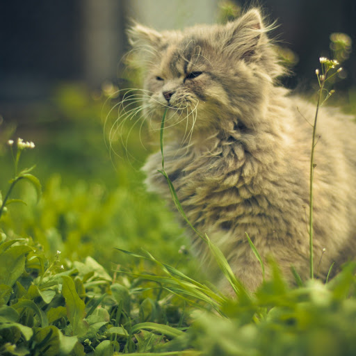 Hd-145982-ascw145982