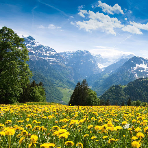 Hd-173612-ascw173612