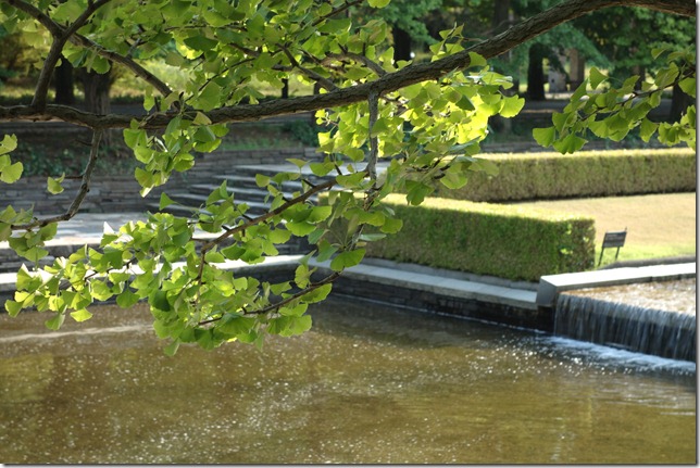 r-DSC01012 r-DSC01012