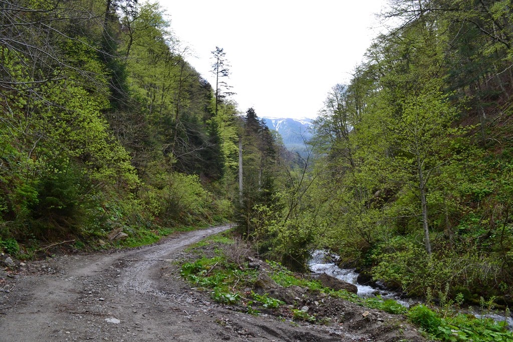 [DSC_87213.jpg]