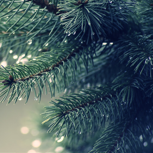 Hd-151535-ascw151535