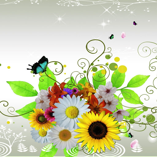 Hd-146116-ascw146116