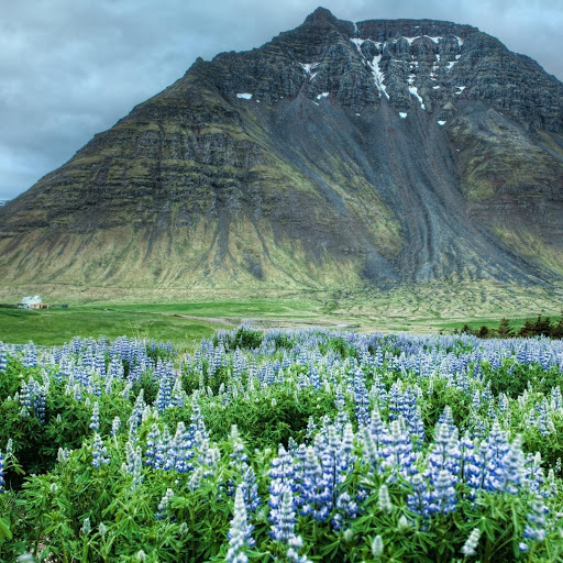 Hd-184405-ascw184405