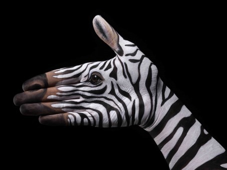 [Zebra-on-black1-453x340%255B1%255D.jpg]