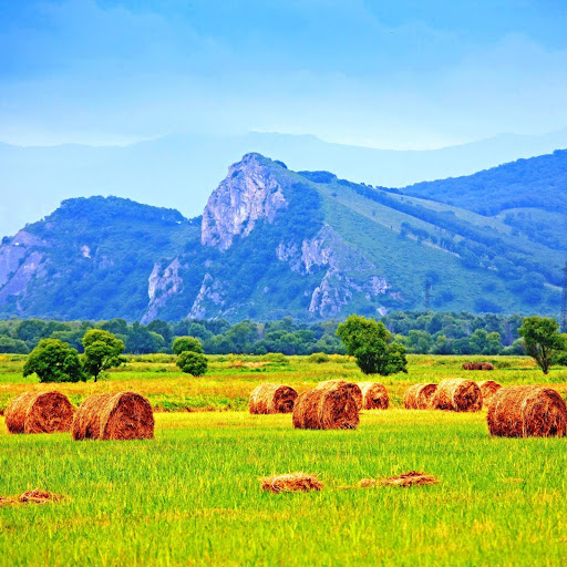 Hd-142258-ascw142258