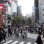 shopping streets during rush hour in Shibuya, Japan 