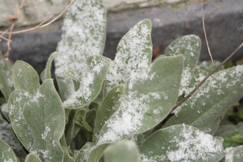 20110221 (2) (Large)