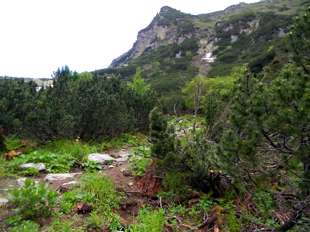 [DSCN10623.jpg]
