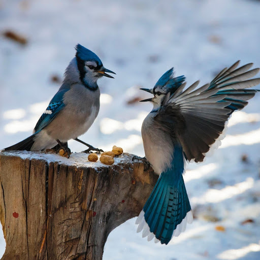 Hd-181283-ascw181283