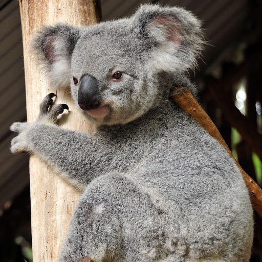 Hd-164409-ascw164409