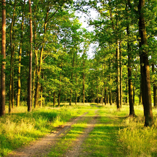 Hd-146353-ascw146353