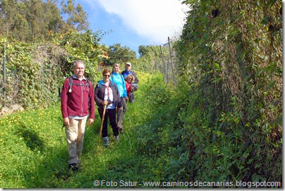 7714 La Laguna-Barranco del Laurel(La Laguna) 7714 La Laguna-Barranco del Laurel(La Laguna)