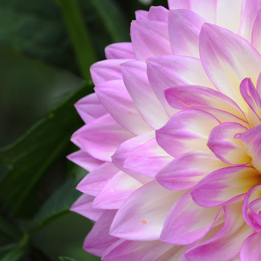 Hd-140335-ascw140335