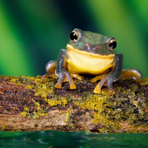 Hd-179076-ascw179076