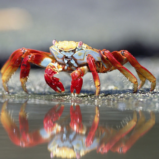 Hd-138025-ascw138025