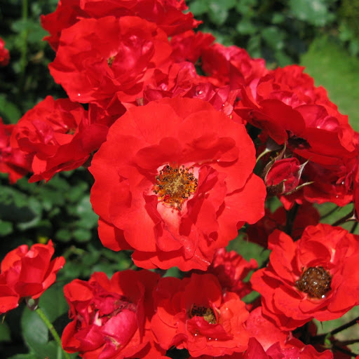 Hd-171855-ascw171855