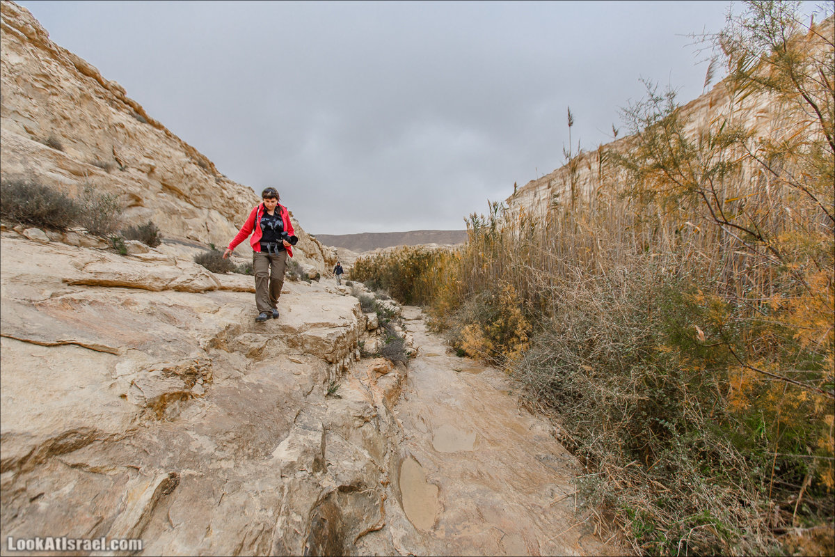 Ручей Акев и источник Эйн Акев в пустыне Негев. LookAtIsrael.com - Фото путешествия по Израилю