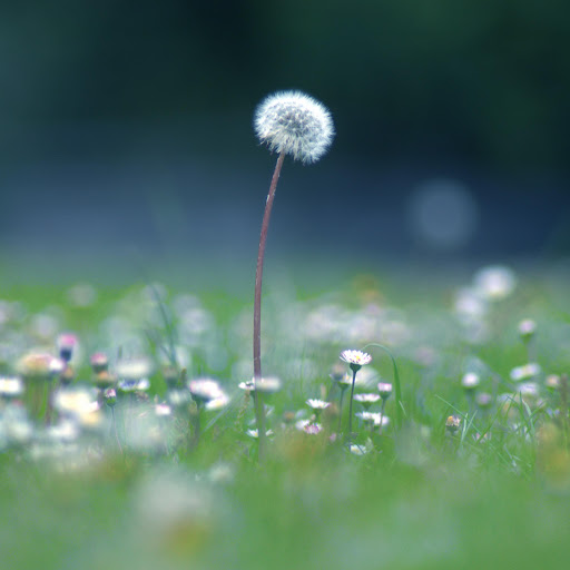 Hd-172368-ascw172368